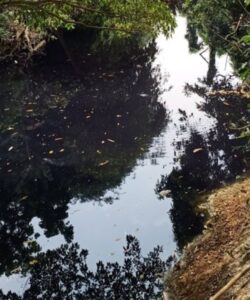 LBH Swastika Advokasi Nusantara, Kirim Somasi Terbuka Untuk Bupati Tangerang.