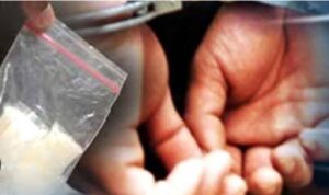 “Search Results For” Kurir dan Pembeli Narkoba Ditangkap, Bandar Tidak Dilirik