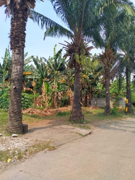 R*NGG*T Disebut sebut Sosok Pemberi Uang 6 Miliar, Terkait Fasos Fasum Modrenland