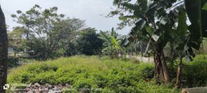 Dugaan Proyek Fiktif dan Praktek Suap, Menjadi Trending Topik di Dinas BMSDA Kab.Tangerang