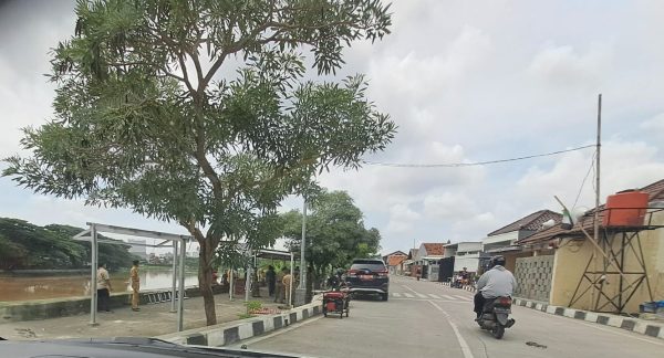 Setelah ada peresmian jembatan Robinson ini ia dapat di perbokehkan lagi dagang.