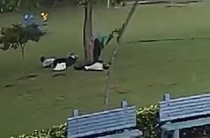 Orang-orang ini berlindung di bawah pohon karena mengira aman.