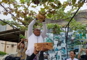 Camat mengucapkan terima kasih kepada para warga dan komunitas penggemar anggur karena di tangan mereka menghasilkan buah yang berkualitas.