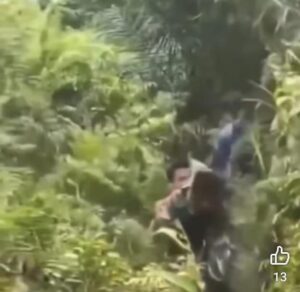 Ternyata di Daerah Aparatnya lebih mengis di Jakarta, kebun rakyat.